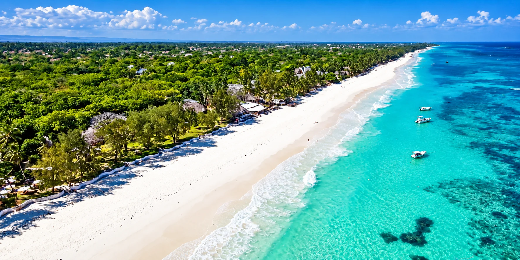 Diani