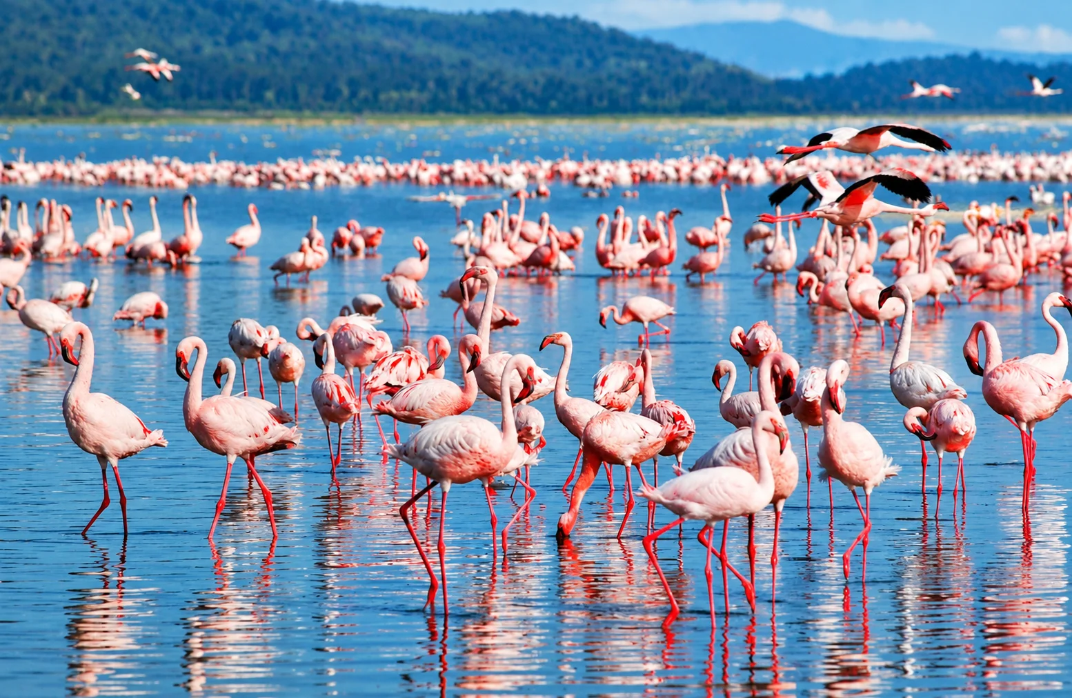 Lake Nakuru