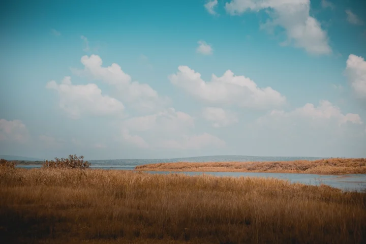 Akagera Wildlife Safari