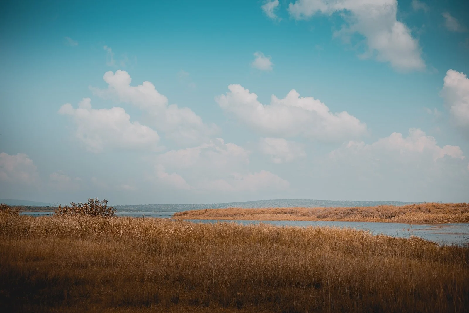 Akagera Wildlife Safari