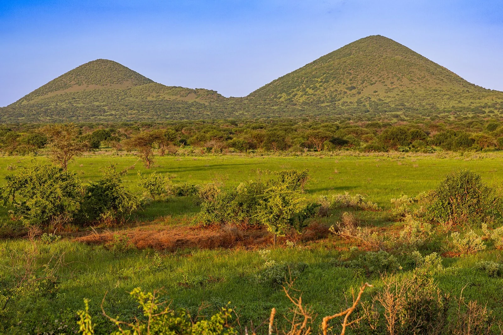 Chyulu Hills & Amboseli Country