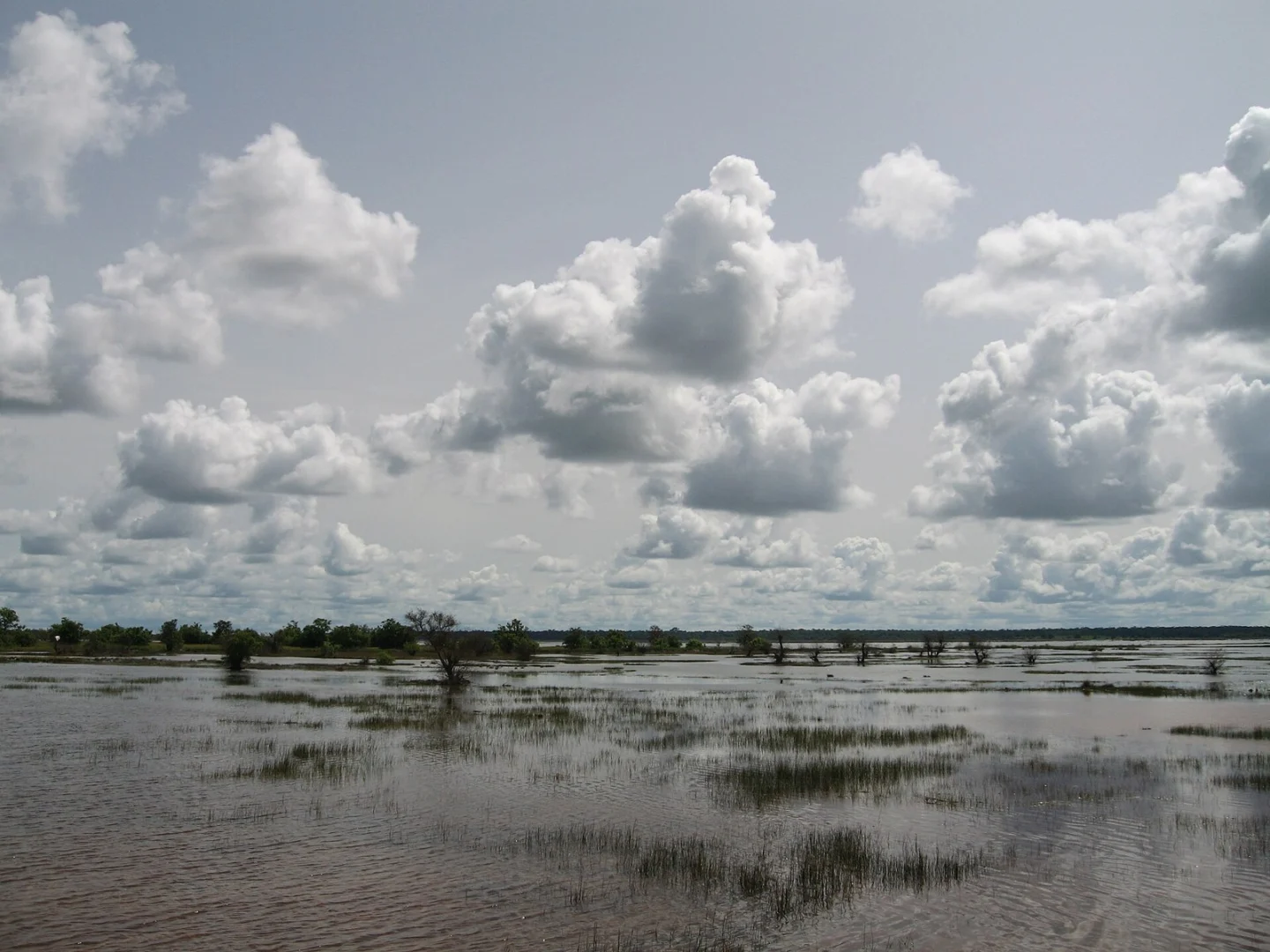 Gambia Coast & River Escape