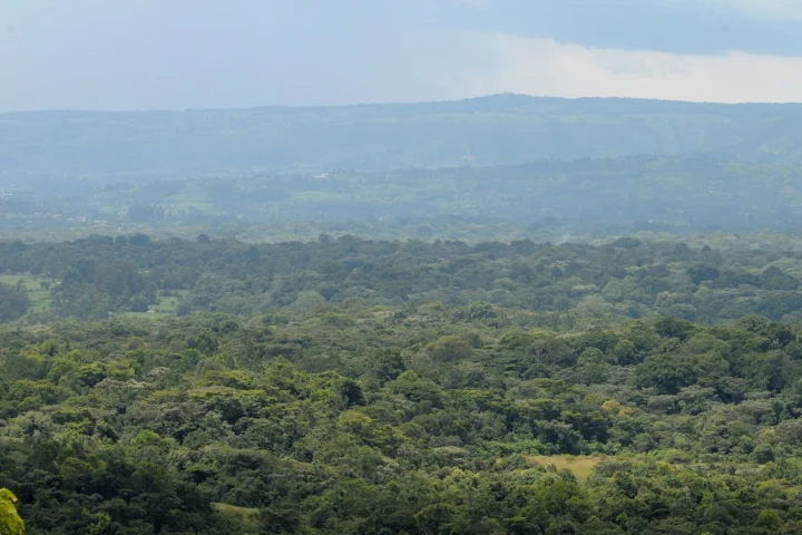 Kakamega Forest & Kisumu