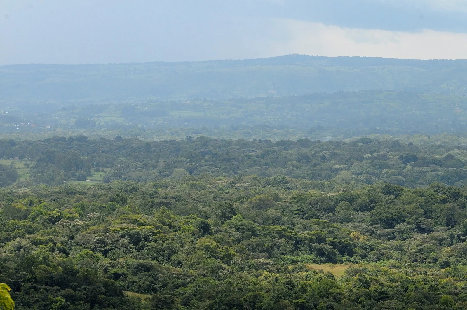 Kakamega Forest & Kisumu