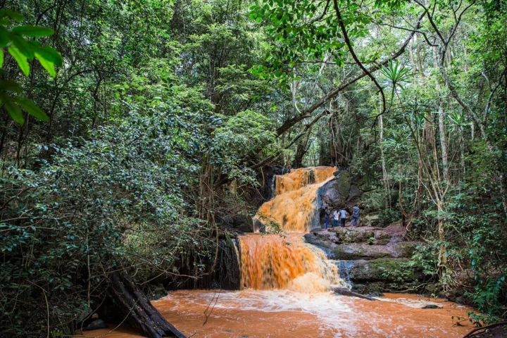 Karura Forest & Nairobi Green Spaces
