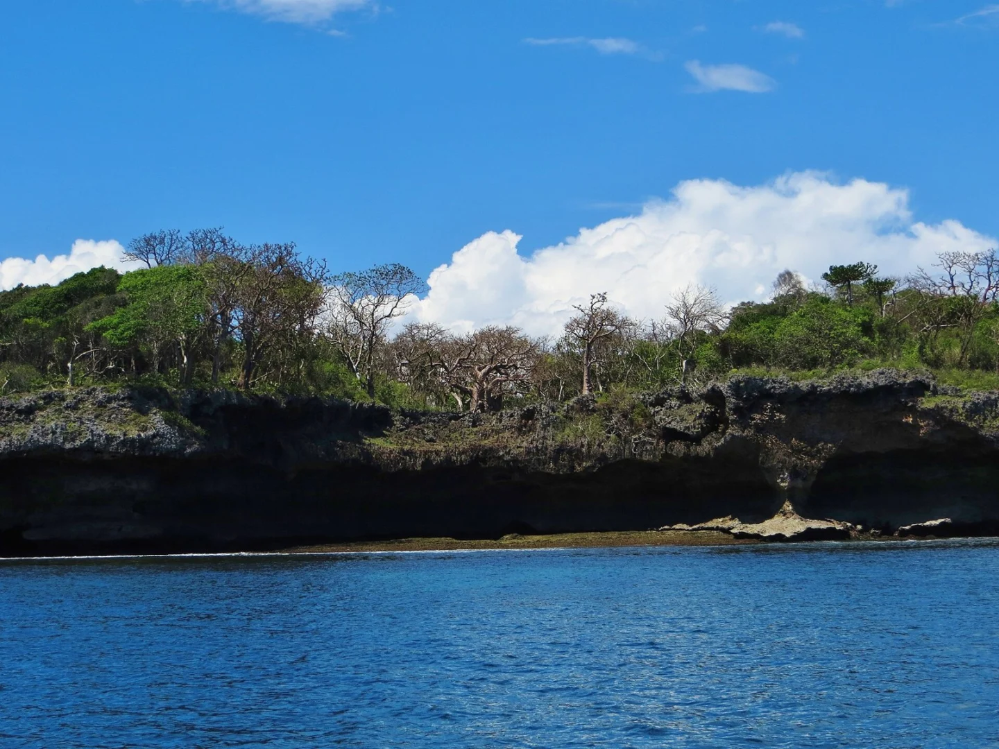 Kisite Marine Park & Wasini
