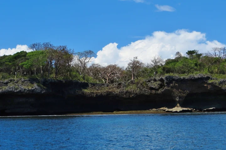 Kisite Marine Park & Wasini