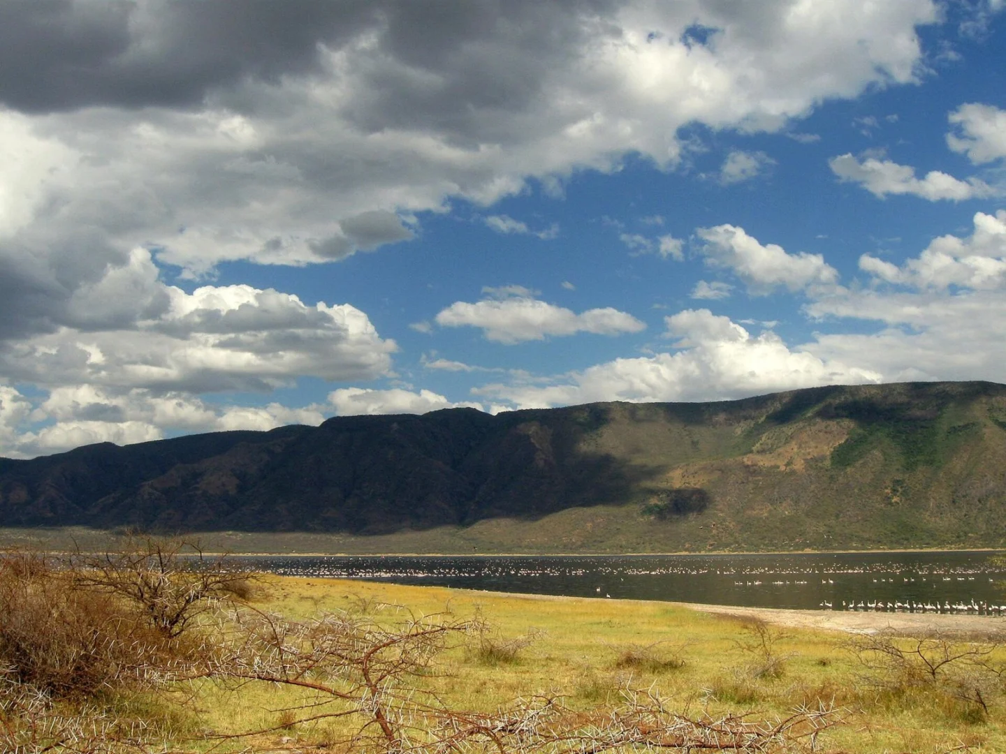 Lake Bogoria & Lake Baringo