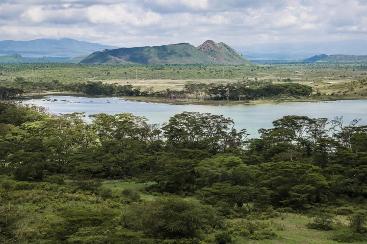 Lake Elementaita & Soysambu Escape