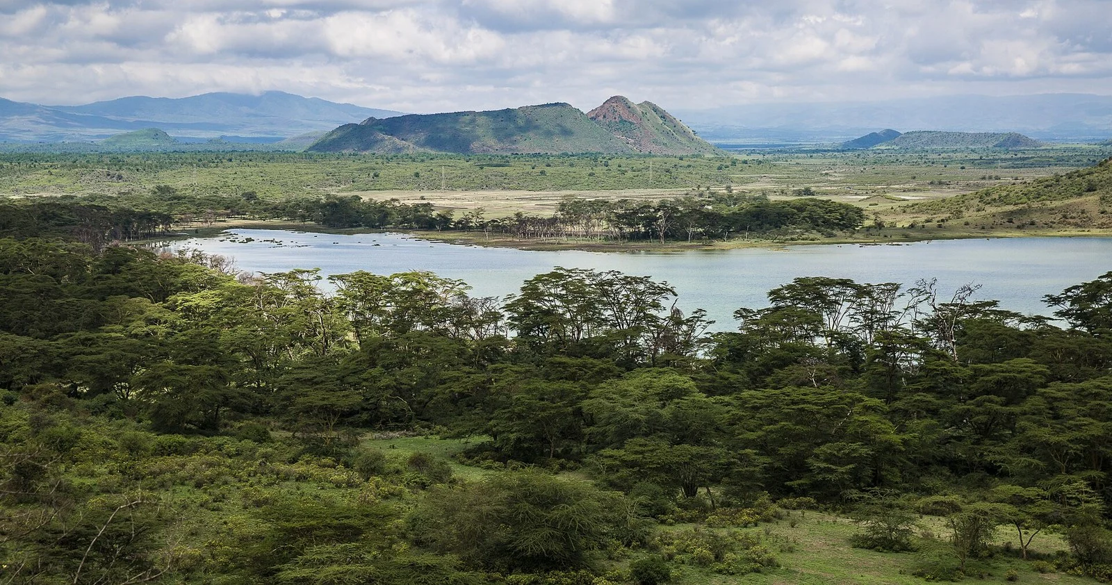 Lake Elementaita & Soysambu Escape