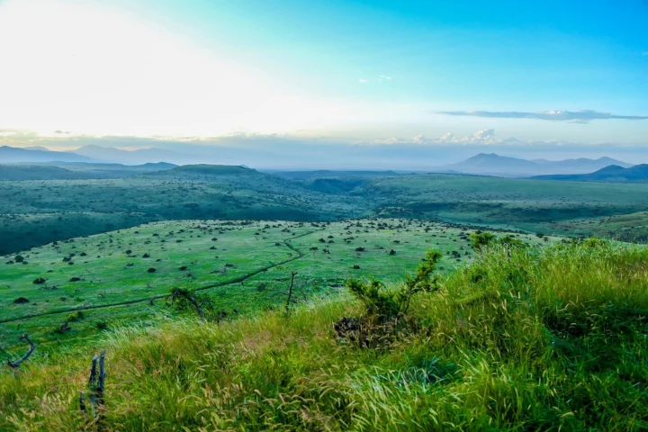 Lewa & Borana Conservancy Safari