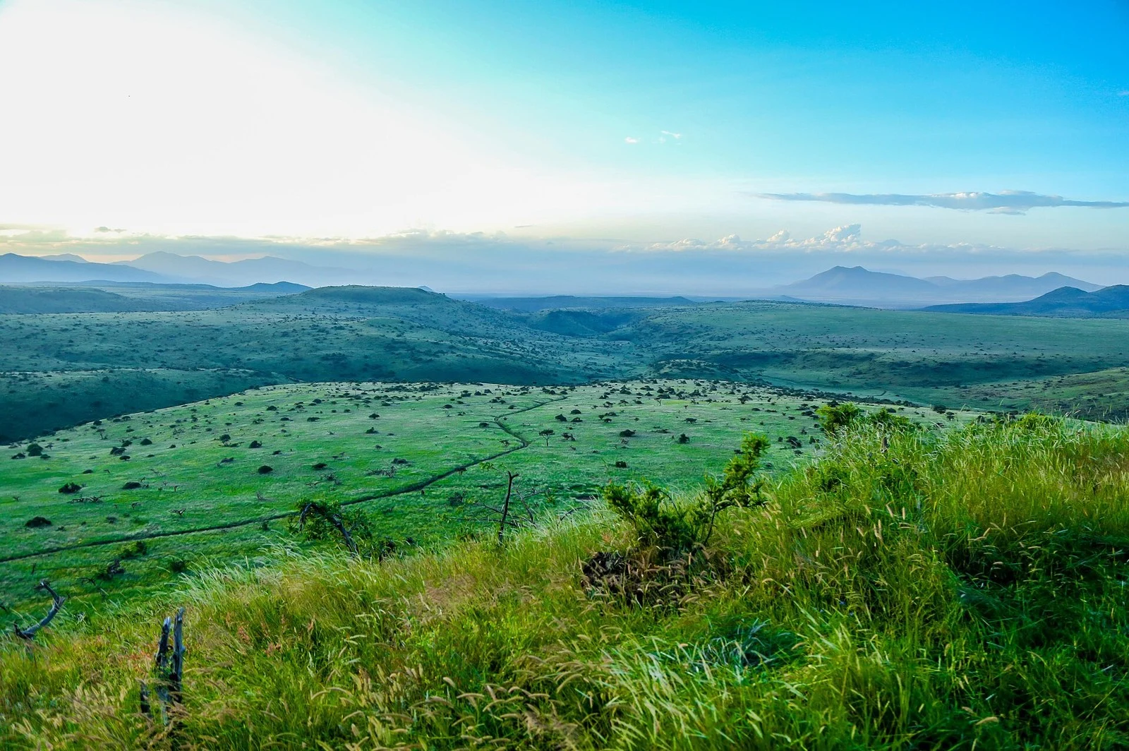 Lewa & Borana Conservancy Safari