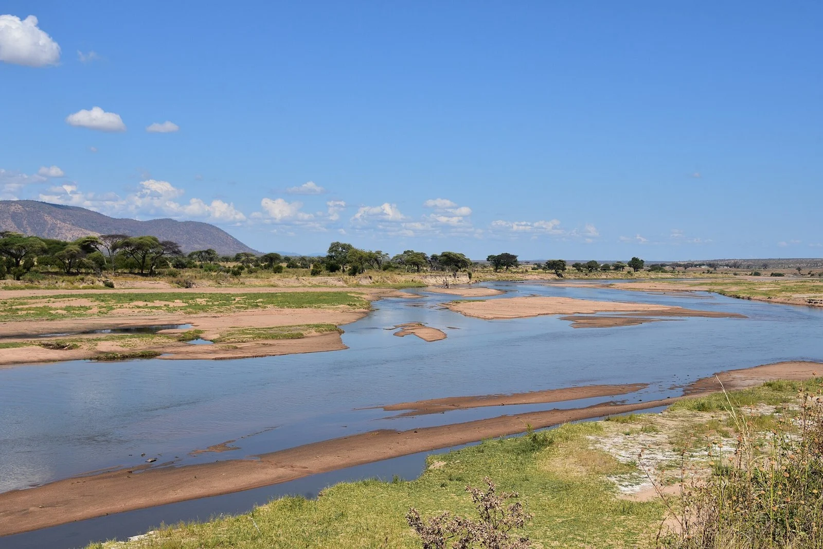 Ruaha Wildlife Journey