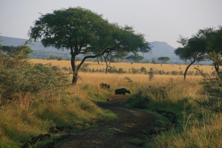 Ruma National Park Escape