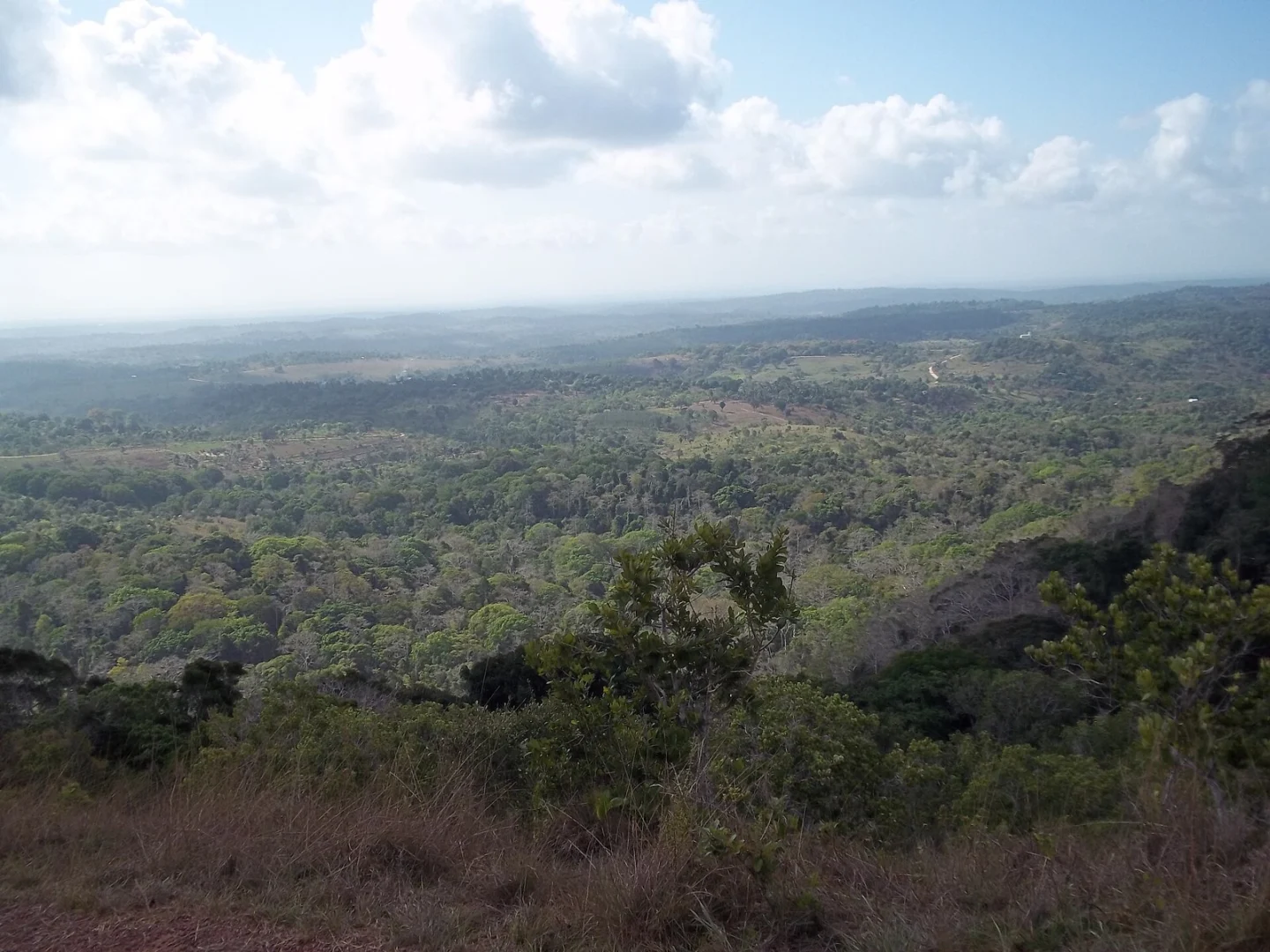 Shimba Hills Forest Safari