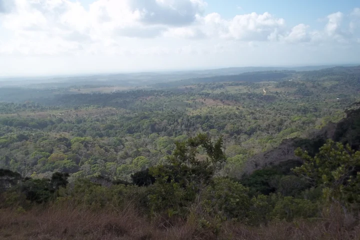 Shimba Hills Forest Safari
