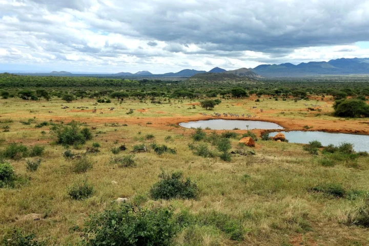 Tsavo East & West Safari