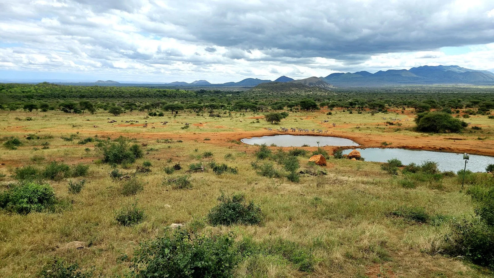 Tsavo East & West Safari